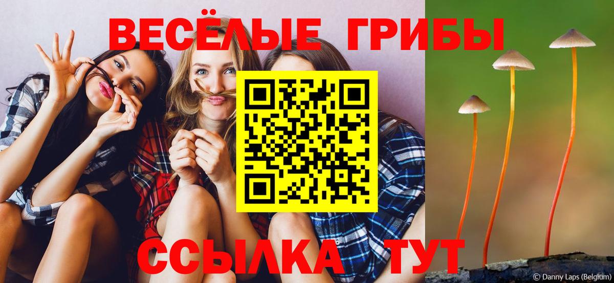 Галлюциногенные грибы Psilocybine cubensis  Вход с VPN  Псилоцибиновые грибы прущие грибы  Санкт-Петербург 