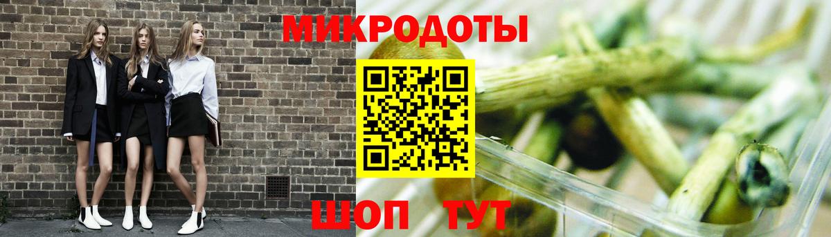 Псилоцибиновые грибы мицелий Санкт-Петербург